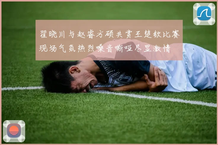 翟晓川与赵睿方硕共赏王楚钦比赛现场气氛热烈嗓音嘶哑尽显激情