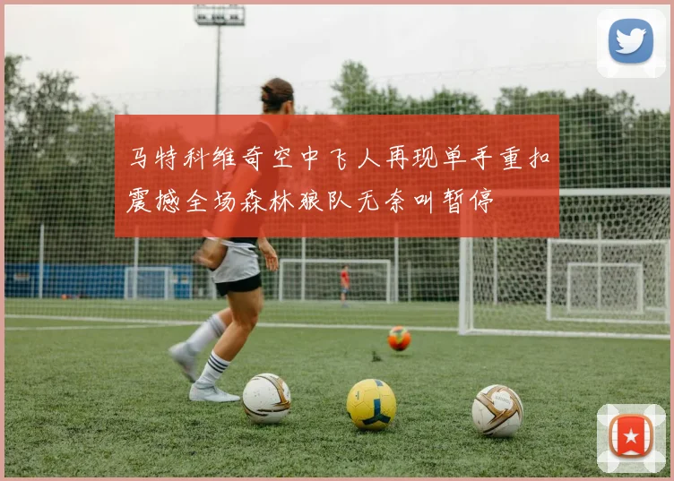 马特科维奇空中飞人再现单手重扣震撼全场森林狼队无奈叫暂停