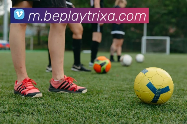 beplay体育平台生态图