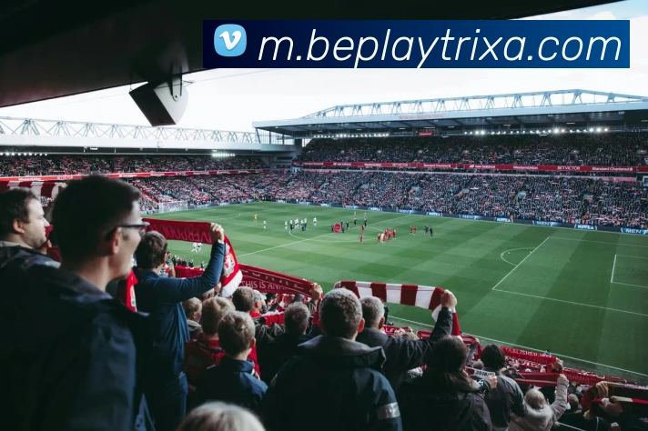 beplay体育APP 封面图